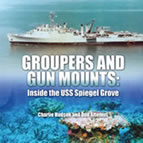 Groupers and Gun Mounts